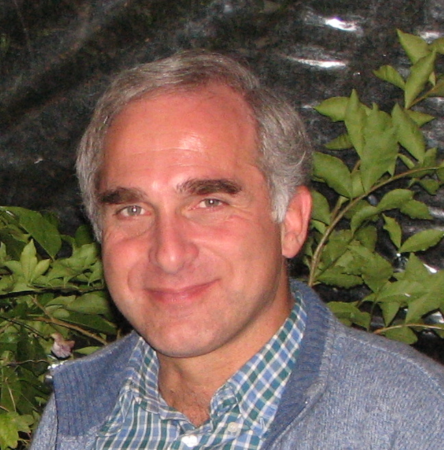 Paolo Luchini